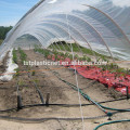 High quality attractive design single span film tunnel greenhouse